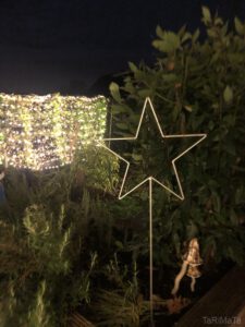 Foto-11.12.21-18-32-40