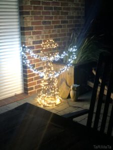 Foto-22.11.21-22-30-54